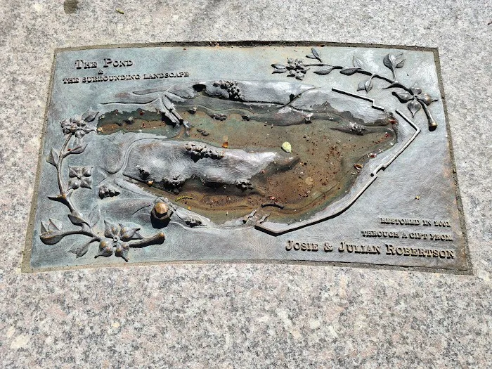 The Pond at Central Park Picture 4