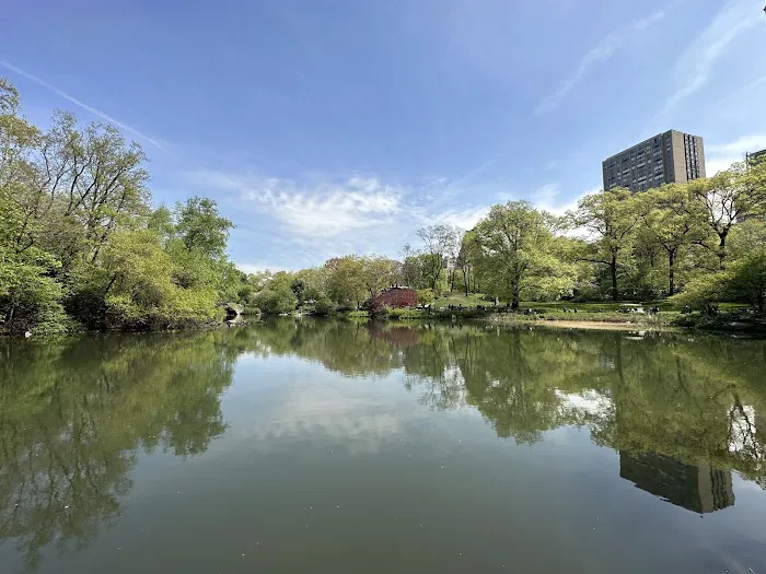 The Pond at Central Park Picture 1