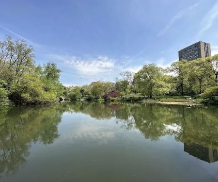The Pond at Central Park