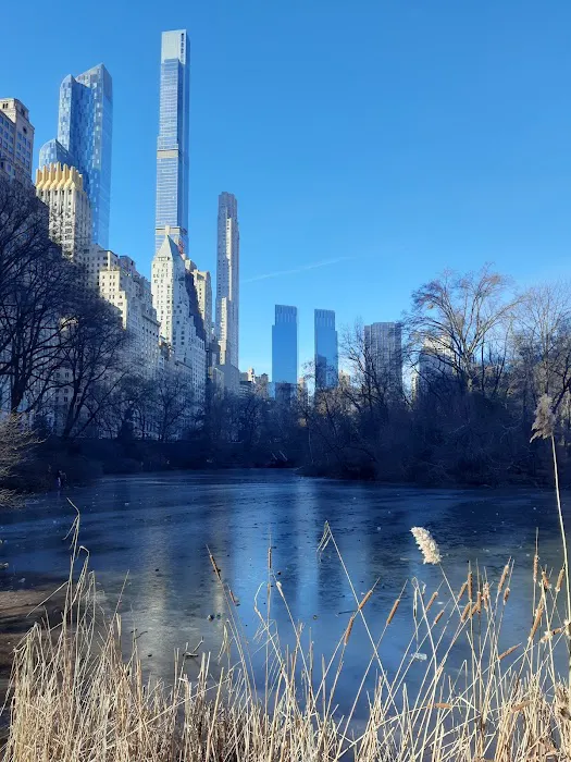 The Pond at Central Park Picture 2