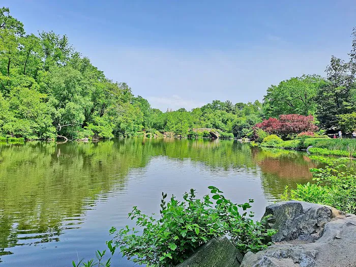 The Pond at Central Park Picture 3
