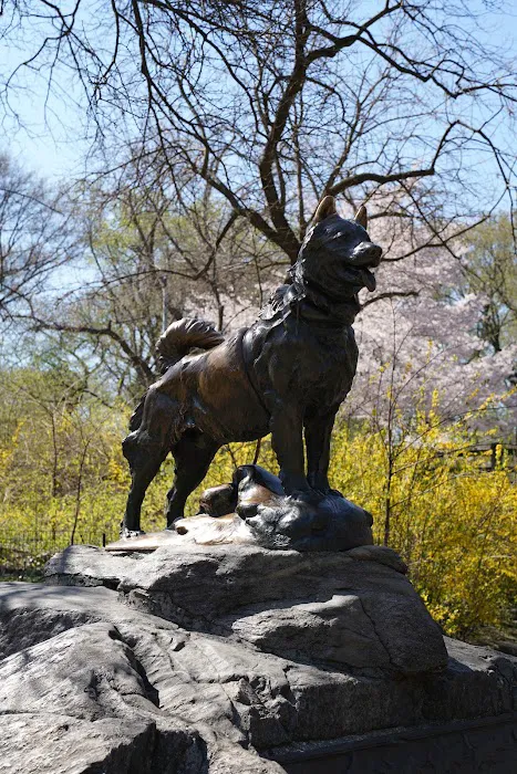 The Pond at Central Park Picture 9