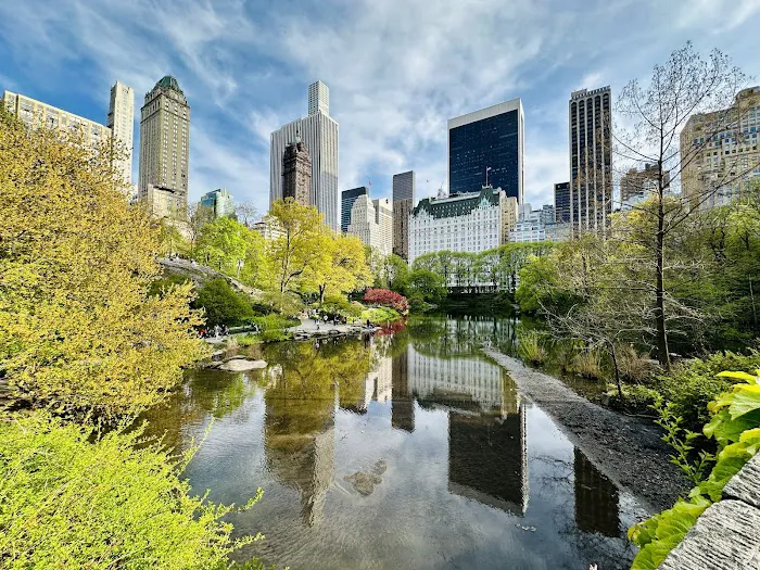 The Pond at Central Park Picture 8
