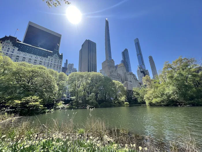 The Pond at Central Park Picture 6