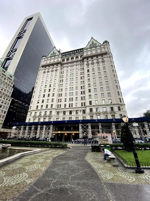 Grand Army Plaza Picture 2