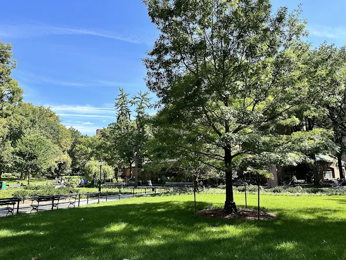 Margaret Mead Green Picture 3