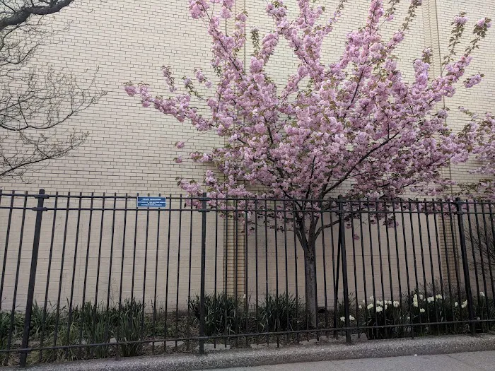 The Center School Garden Roy Dorman Community Space Picture 4