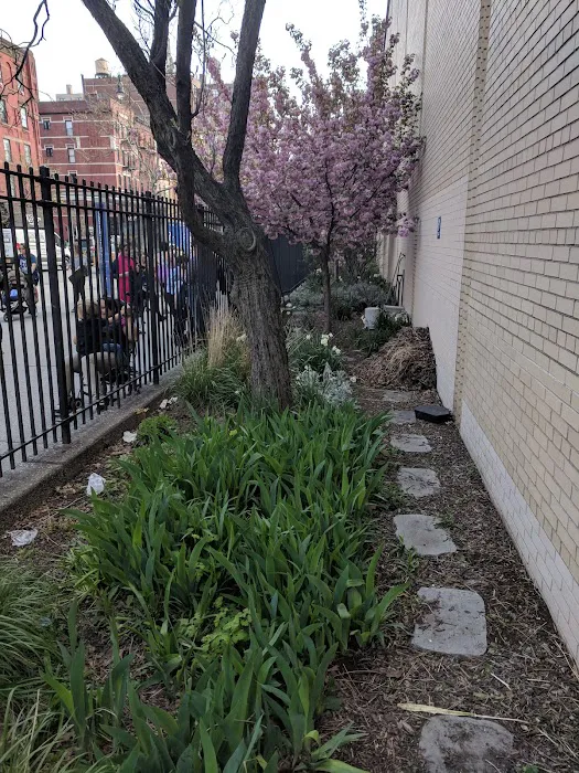 The Center School Garden Roy Dorman Community Space Picture 1
