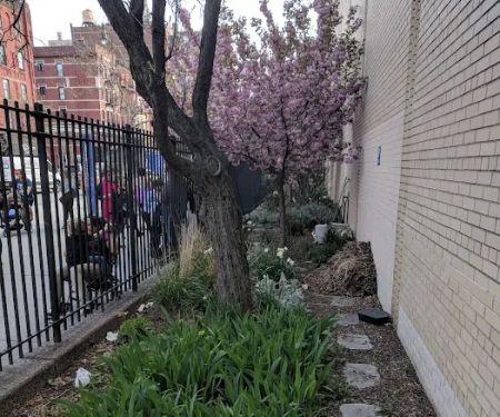 The Center School Garden Roy Dorman Community Space
