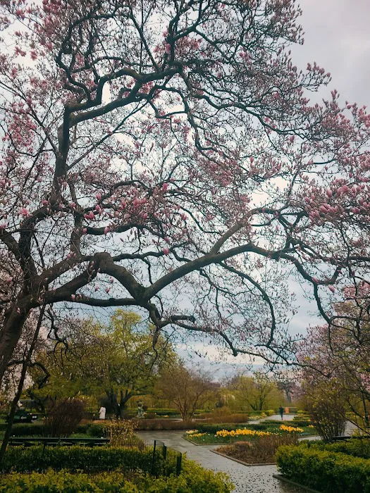 Central Park West of Reservoir Picture 2