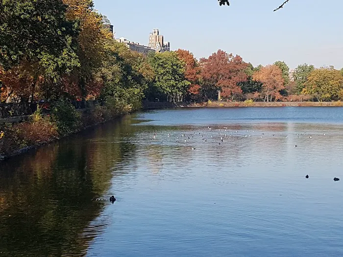 Central Park West of Reservoir Picture 1