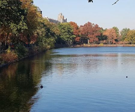 Central Park West of Reservoir