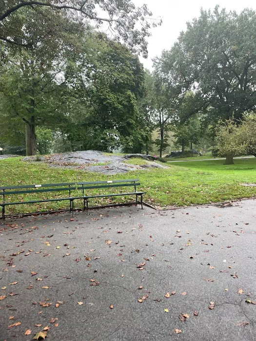 Central Park West of Reservoir Picture 3