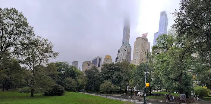 Central Park West of Reservoir Picture 4