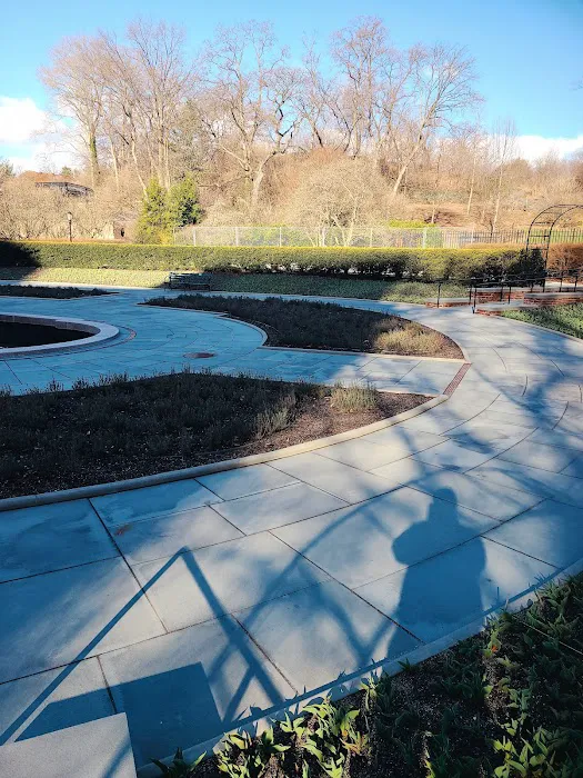 Central Park West of Reservoir Picture 9
