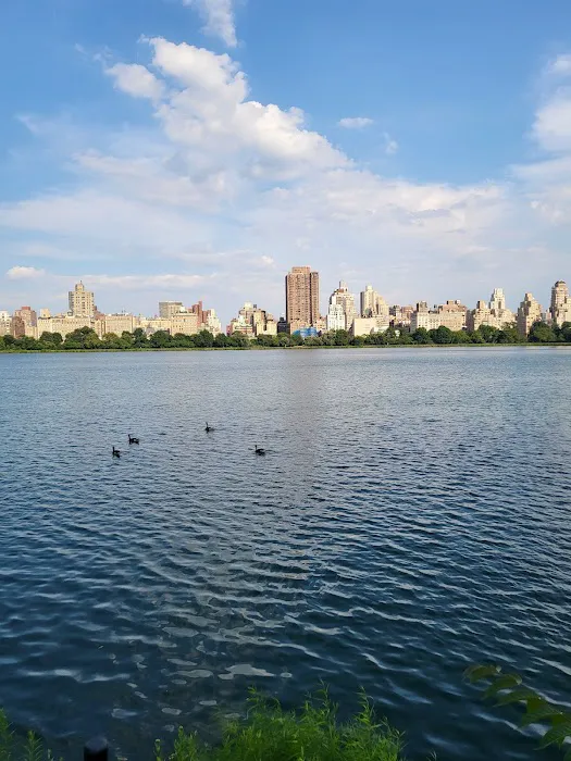 Central Park West of Reservoir Picture 10