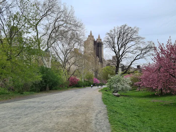 Central Park West of Reservoir Picture 5