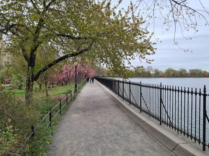 Central Park West of Reservoir Picture 6