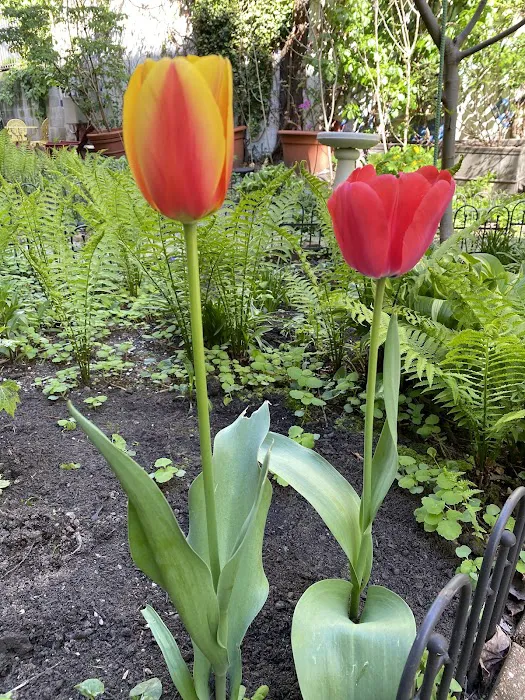 West 87th St. Park & Garden Picture 5