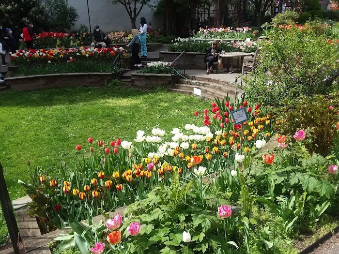 West Side Community Garden Picture 2