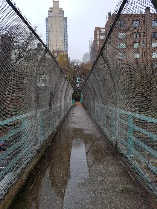 Peter Detmold Park Picture 10