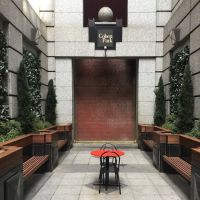 Cohen Park ico