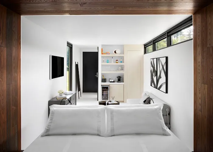 Moliving Picture 6
