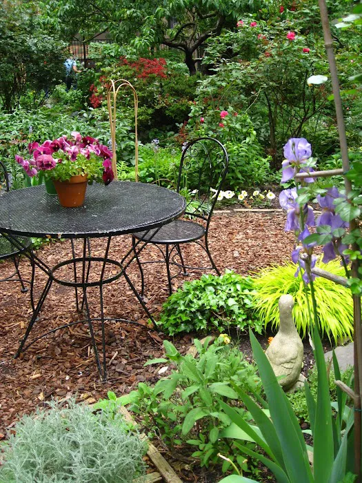Lotus Garden Picture 8