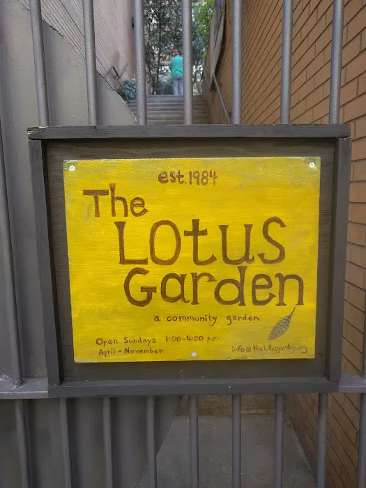 Lotus Garden Picture 7