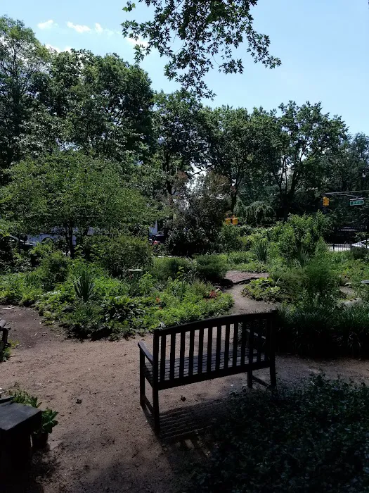 Amsterdam Garden Picture 2