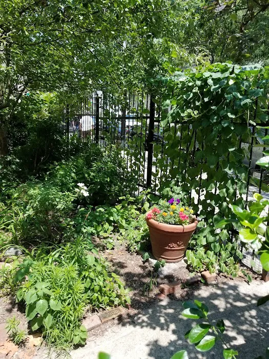 Amsterdam Garden Picture 4