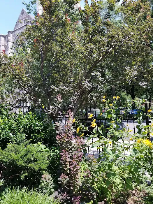Amsterdam Garden Picture 1