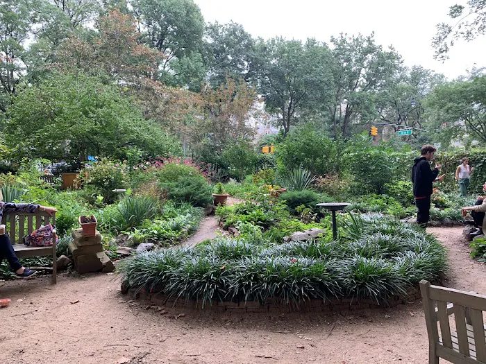 Amsterdam Garden Picture 9