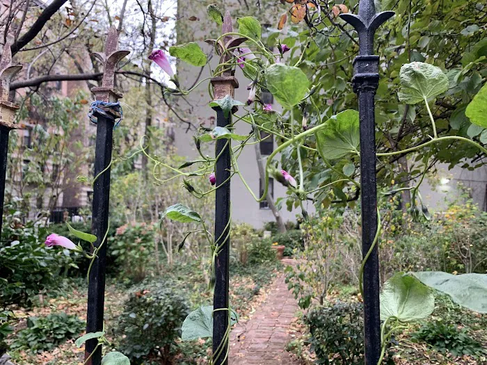 Amsterdam Garden Picture 7