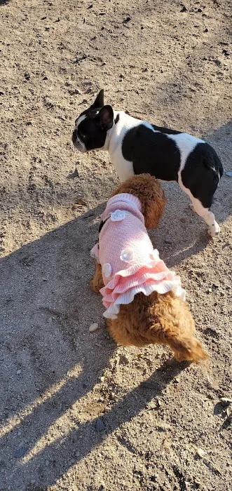 105th Street Dog Run Picture 5