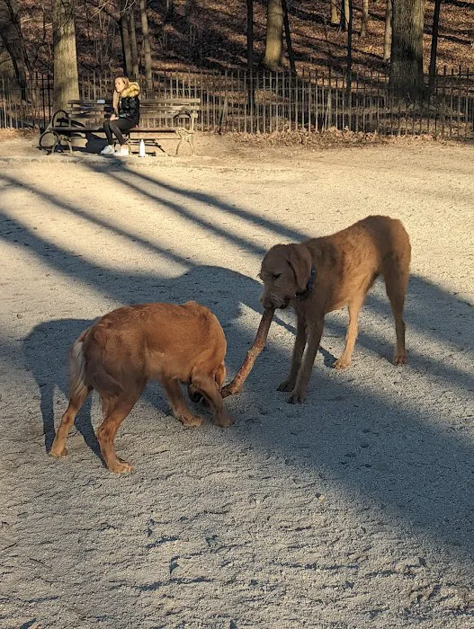 105th Street Dog Run Picture 4