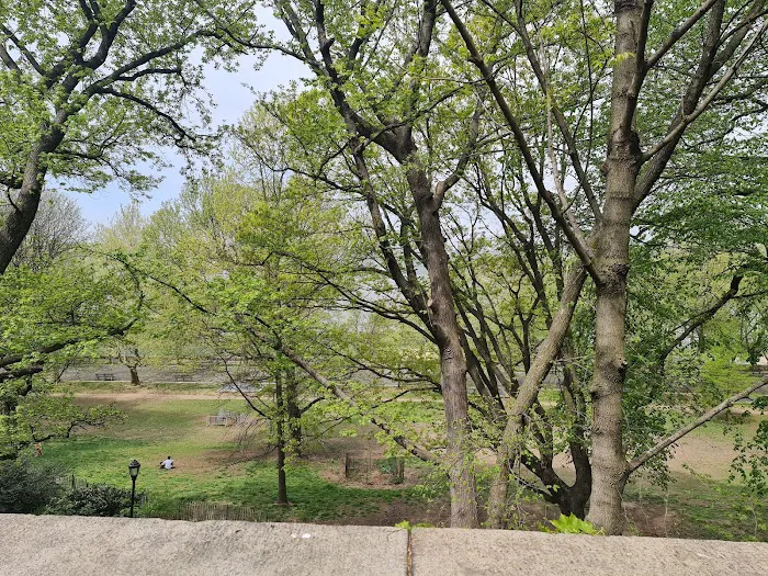 105th Street Dog Run Picture 2