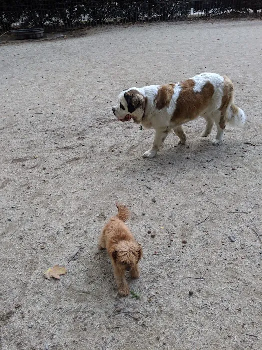 105th Street Dog Run Picture 9