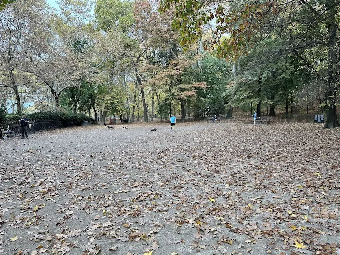 105th Street Dog Run Picture 10