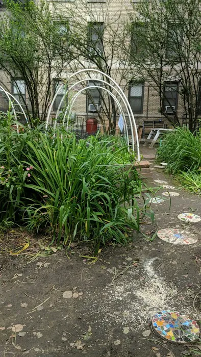 Columbia Secondary School Community Garden Picture 2