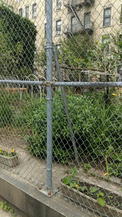 Columbia Secondary School Community Garden Picture 7