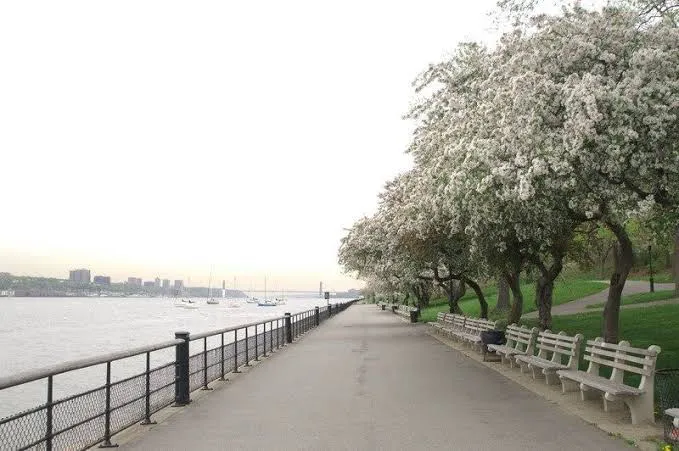 Riverside Park Picture 1