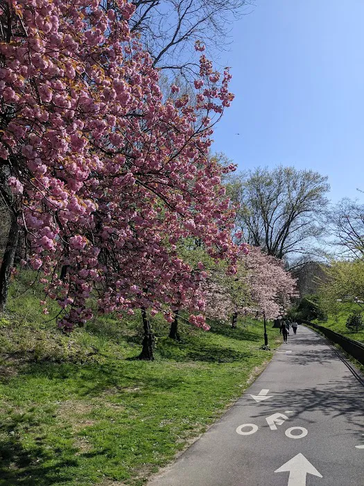 Riverside Park Picture 7