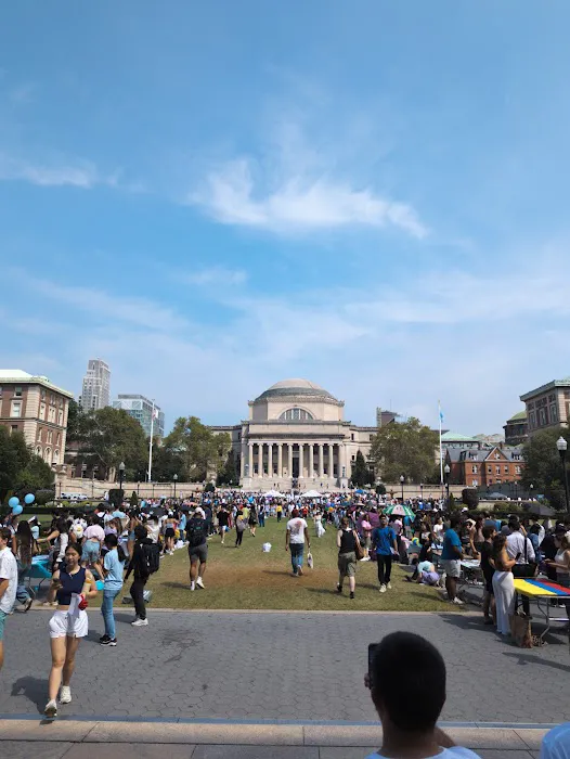 Low Plaza Picture 2