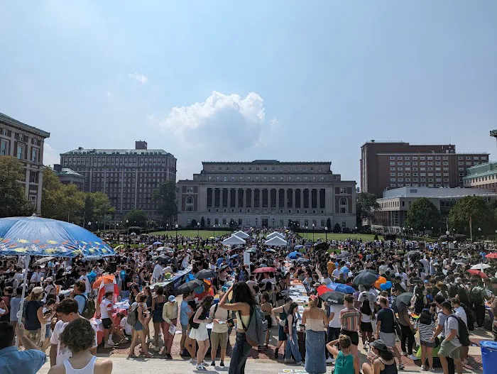 Low Plaza Picture 3