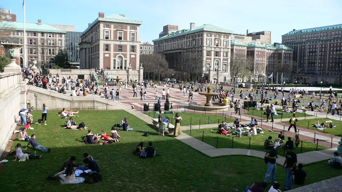 Low Plaza Picture 6