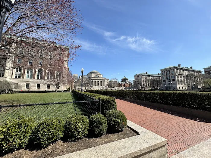 South Lawn Picture 6
