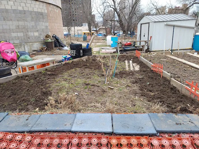 West 23rd Street Community Garden Picture 3