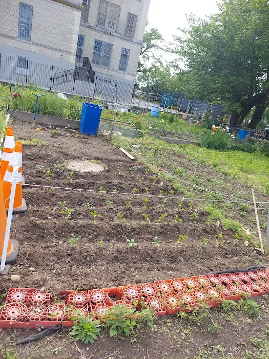 West 23rd Street Community Garden Picture 6