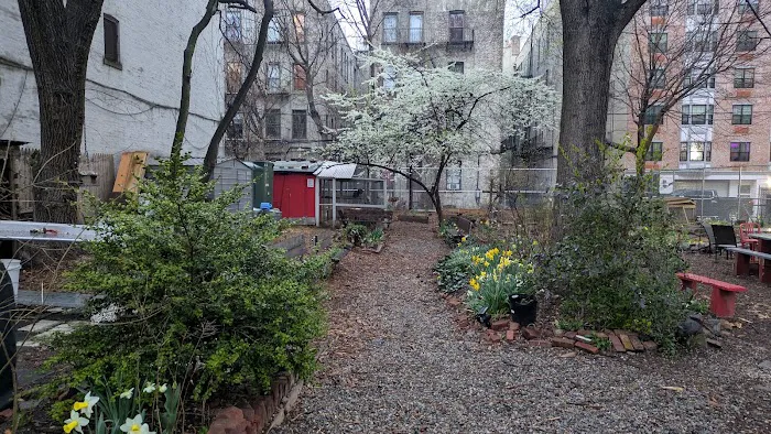 Walt L. Shamel Community Garden Picture 9